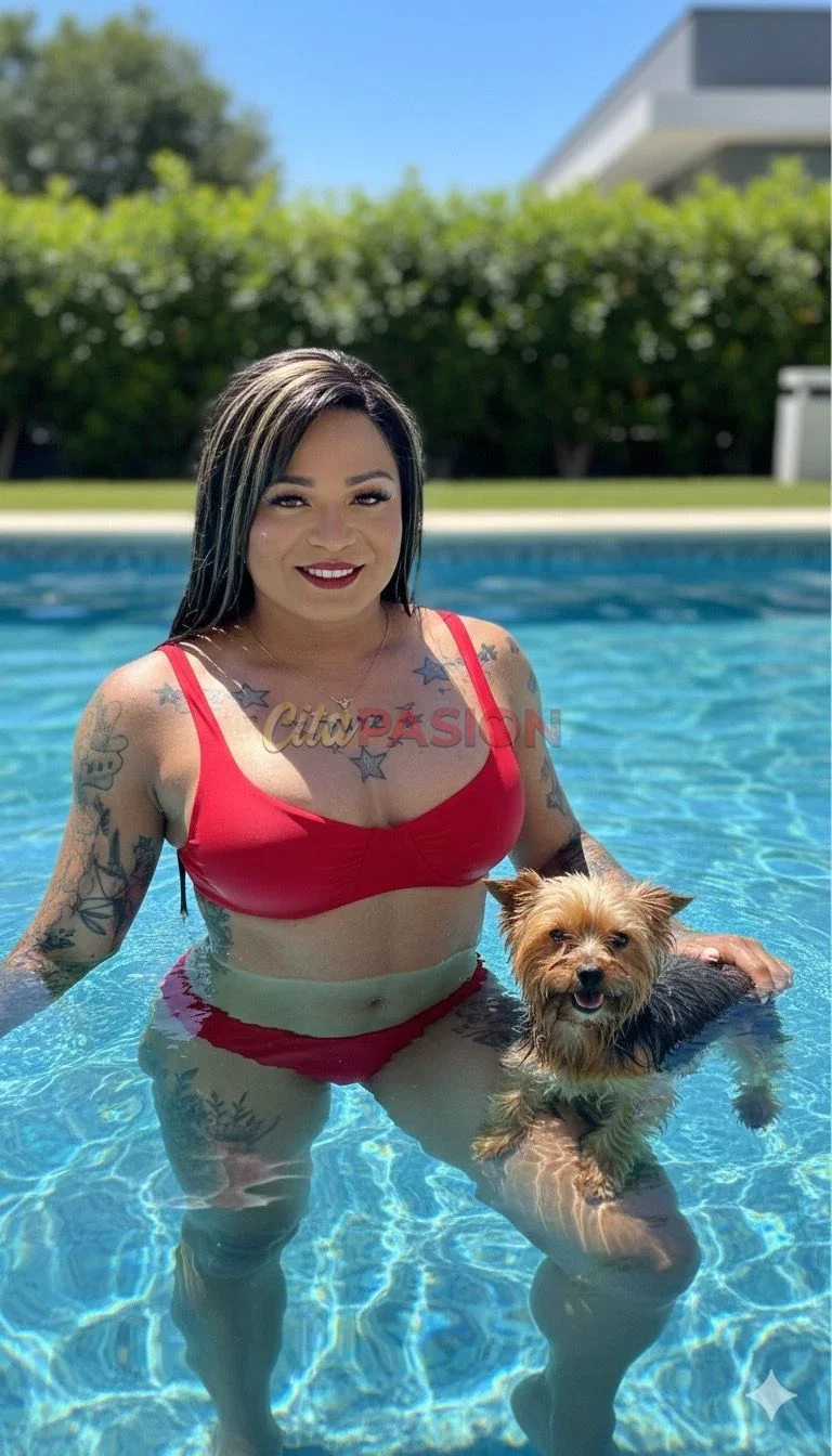 Miniatura 6 de Travesti en Alcázar de San Juan. ¡Novedad! Morena apasionante en Don Benito. Solo desplazamientos.