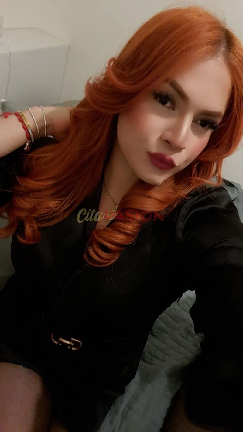 Travesti en Logroño. Trans de paso por Logroño, vive una experiencia inolvidable.
