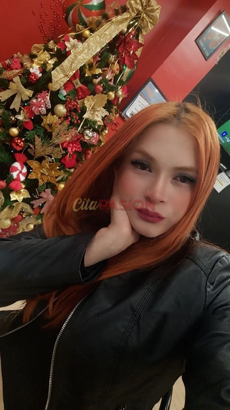 Miniatura 3 de Travesti en Logroño. Trans de paso por Logroño, vive una experiencia inolvidable.
