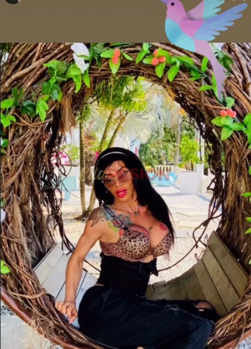 Travesti en Alicante capital. Trans latina encantadora te espera.