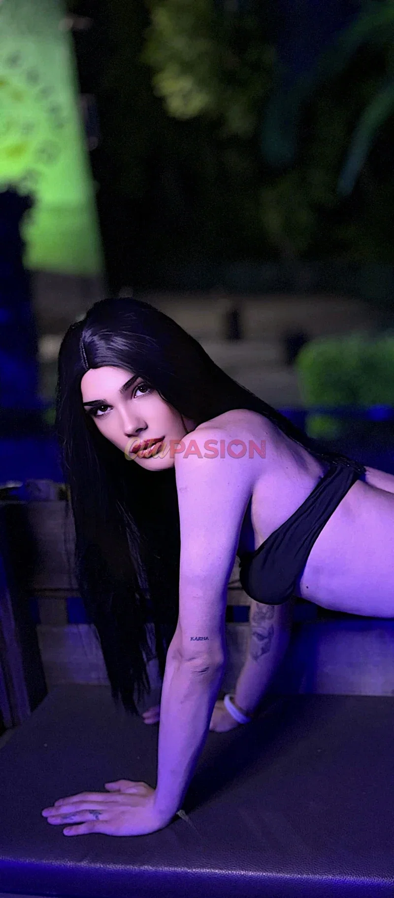 Travesti en Villamayor de Calatrava. Acompañante de lujo muy especial.
