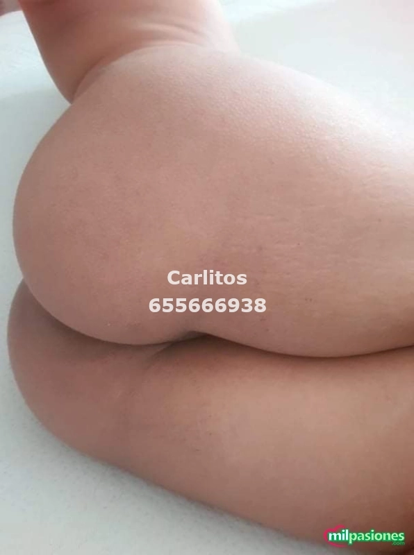 Miniatura 3 de BUSCO MADURO BARRIGON ACTIVO SOY JOVEN PASIVO