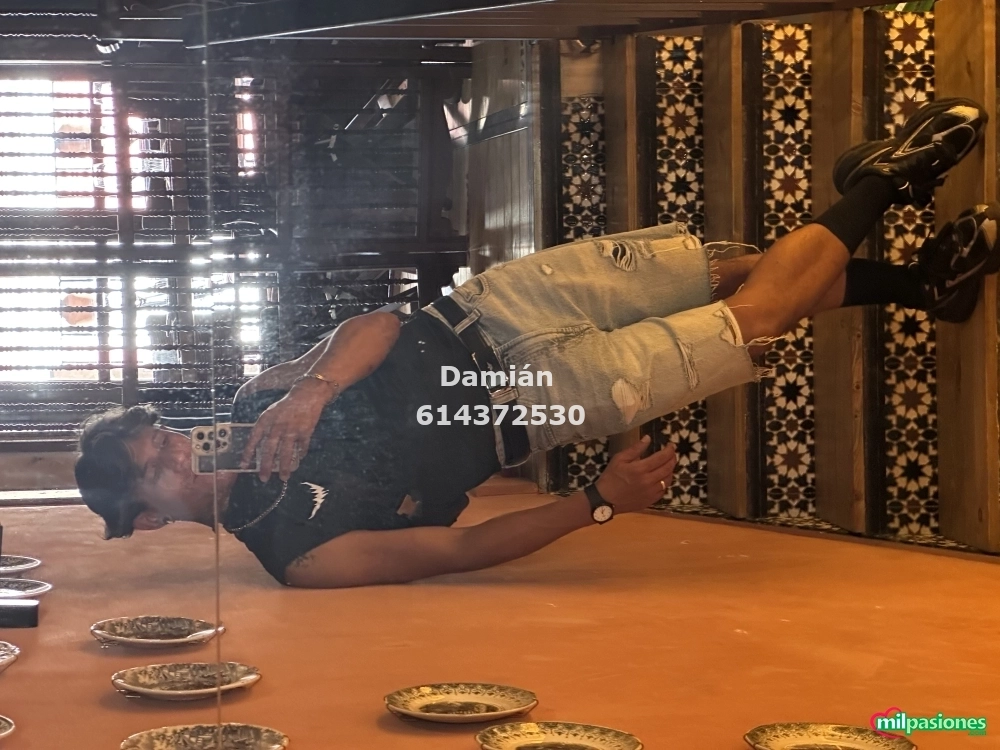 Miniatura 2 de De visita divertido pollon y complaciente