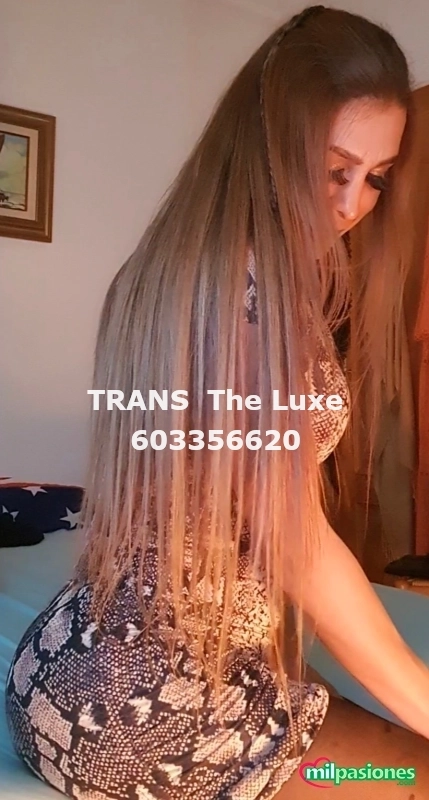 Miniatura 5 de Escultural trans de lujo dotada experta en iniciantes