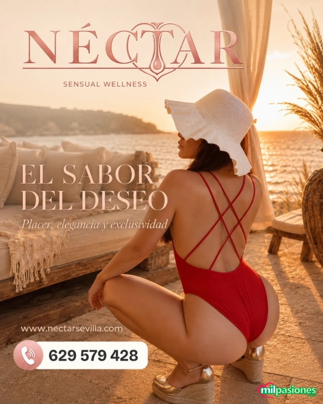 Descuentos disponibles solo esta semana, consúltanos!